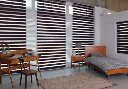 Zebra Blinds Noida